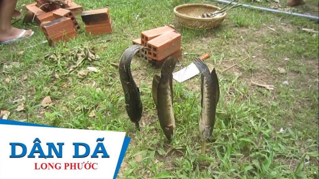 Bất động sản Quận 9