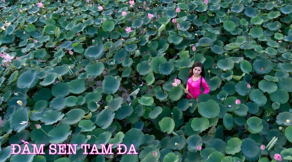 Bất động sản Quận 9