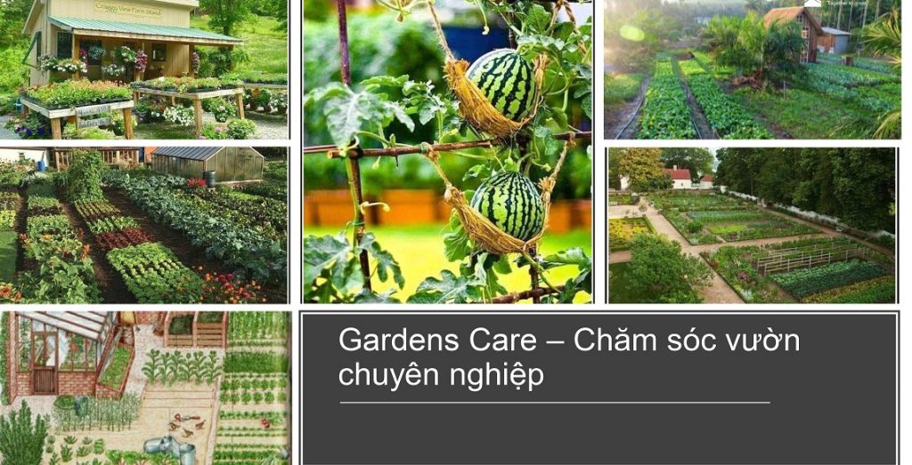 Bất động sản Quận 9