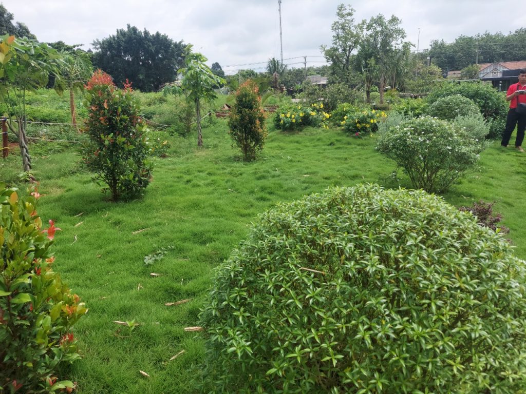 Bất động sản Quận 9